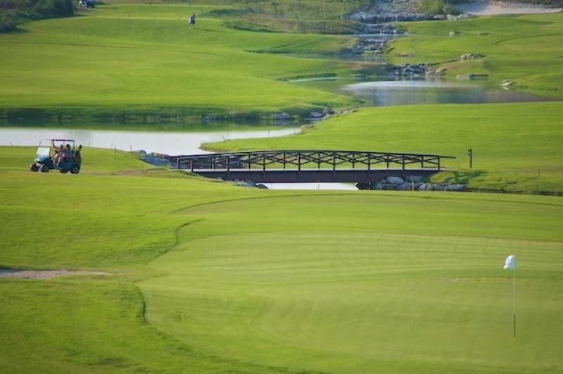 Golf &